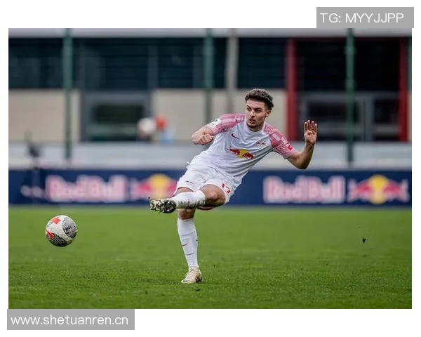 德天空报道水晶宫欲3000万欧签鲍姆加特纳遭莱比锡拒绝